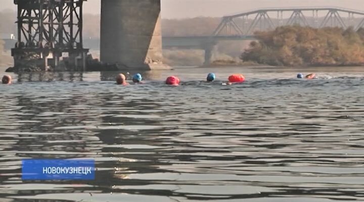 Переплыли Томь: кузбасские «моржи» отметили начало сезона холодового плавания